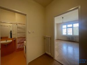 Pronájem bytu 1+kk, Praha - Vinohrady, Londýnská, 28 m2