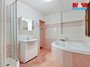 Prodej obchodního prostoru, Dětřichov, 320 m2