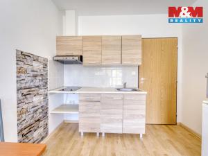 Pronájem bytu 1+1, Plzeň, Nepomucká, 23 m2