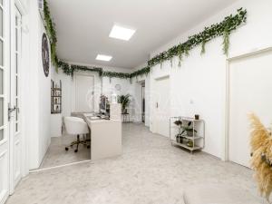 Pronájem komerční nemovitosti, Ostrava - Moravská Ostrava, Přívozská, 51 m2