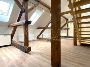 Pronájem bytu 2+kk, Brno - Brno-město, Orlí, 87 m2