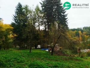 Prodej pozemku pro bydlení, Benecko - Dolní Štěpanice, 2020 m2