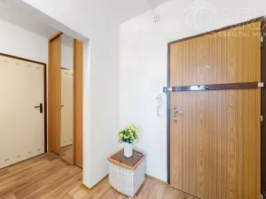 Pronájem bytu 2+kk, Ústí nad Labem - Severní Terasa, Rabasova, 42 m2