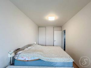 Pronájem bytu 2+kk, Praha - Žižkov, Na Vackově, 54 m2