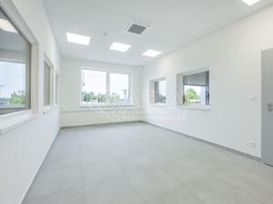 Pronájem skladu, Divišov, 2922 m2