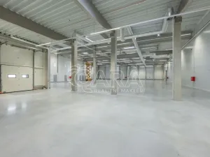 Pronájem skladu, Divišov, 2922 m2