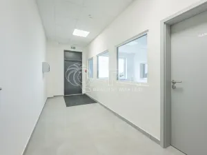 Pronájem skladu, Divišov, 2922 m2