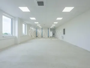 Pronájem skladu, Divišov, 2922 m2