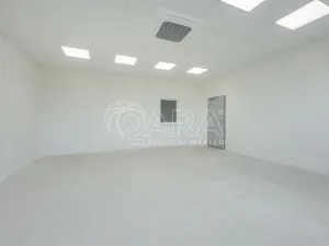 Pronájem skladu, Divišov, 2922 m2