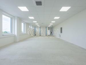 Pronájem skladu, Divišov, 2704 m2