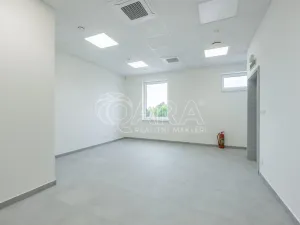 Pronájem skladu, Divišov, 2704 m2