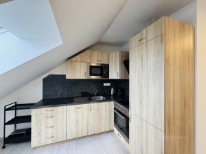 Pronájem bytu 2+kk, Brno - Židenice, Škroupova, 55 m2
