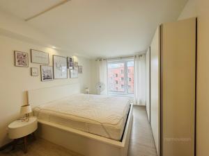 Pronájem bytu 2+kk, Brno - Židenice, Škroupova, 55 m2