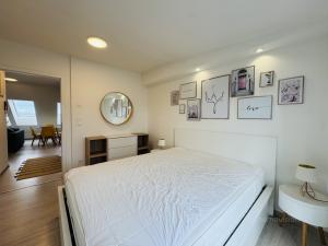 Pronájem bytu 2+kk, Brno - Židenice, Škroupova, 55 m2
