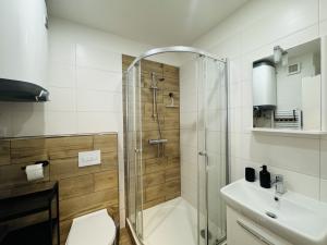 Pronájem bytu 2+kk, Brno - Židenice, Škroupova, 55 m2