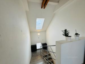 Pronájem bytu 2+kk, Brno - Židenice, Škroupova, 55 m2