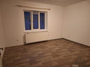 Pronájem bytu 1+1, Děčín, Riegrova, 4343 m2
