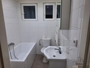 Pronájem bytu 1+1, Děčín, Riegrova, 4343 m2