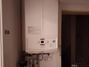Pronájem bytu 1+1, Děčín, Riegrova, 4343 m2