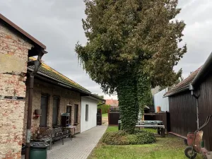 Prodej rodinného domu, Tlumačov, Masarykova, 180 m2