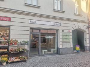 Pronájem obchodního prostoru, Sušice - Sušice I, Americké armády, 45 m2