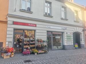 Pronájem obchodního prostoru, Sušice - Sušice I, Americké armády, 45 m2