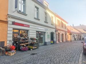 Pronájem obchodního prostoru, Sušice - Sušice I, Americké armády, 45 m2