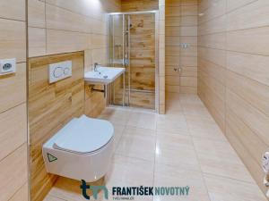 Pronájem bytu 2+kk, Brno, Horova, 73 m2