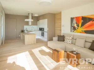 Prodej bytu 3+kk, Beroun - Beroun-Závodí, Na Veselou, 117 m2