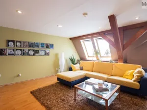 Prodej obchodního prostoru, Litvínov - Horní Litvínov, Rooseveltova, 277 m2