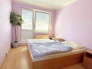 Pronájem bytu 3+1, Olomouc, Fischerova, 68 m2