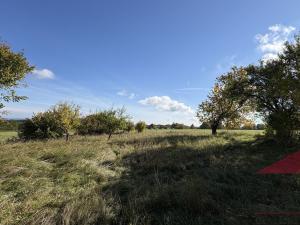 Prodej rodinného domu, Strašín - Maleč, 200 m2