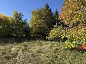 Prodej rodinného domu, Strašín - Maleč, 200 m2