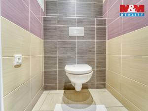 Pronájem bytu 2+kk, Plzeň - Bolevec, U Velkého rybníka, 50 m2