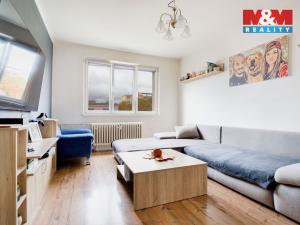 Prodej bytu 2+1, Chomutov, Vrchlického, 55 m2