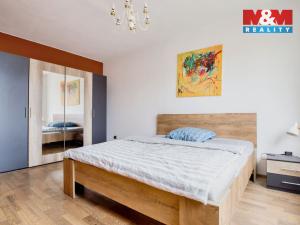 Prodej bytu 2+1, Chomutov, Vrchlického, 55 m2