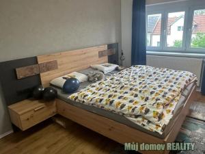 Pronájem rodinného domu, Praha - Hostivař, Hornoměcholupská, 230 m2