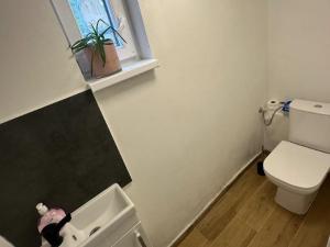 Pronájem rodinného domu, Praha - Hostivař, Hornoměcholupská, 230 m2