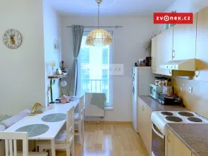 Pronájem bytu 2+kk, Zlín, Březnická, 47 m2