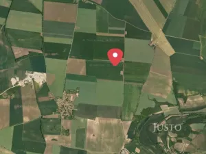 Prodej pole, Černuc - Miletice, 7167 m2