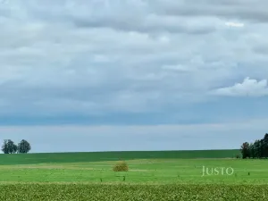 Prodej pole, Černuc - Miletice, 7167 m2