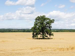 Prodej bytu 5+kk, Libníč, 124 m2