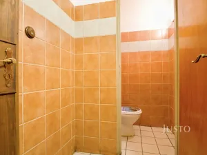 Prodej obchodního prostoru, Ústí nad Labem, Pod Parkem, 82 m2