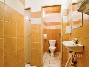 Prodej obchodního prostoru, Ústí nad Labem, Pod Parkem, 82 m2