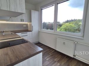 Pronájem bytu 3+1, Písek - Hradiště, K Háječku, 71 m2