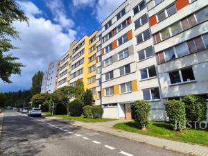 Pronájem bytu 3+1, Písek - Hradiště, K Háječku, 71 m2