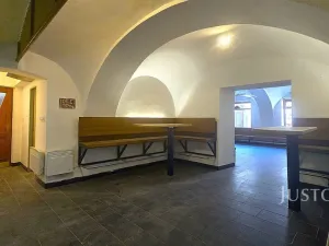 Prodej vícegeneračního domu, Písek, V Koutě, 786 m2