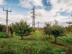 Prodej vinného sklepa, Mikulčice, 65 m2