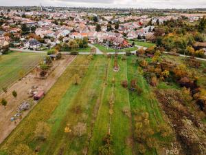 Prodej vinného sklepa, Mikulčice, 65 m2
