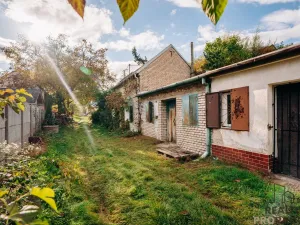 Prodej vinného sklepa, Mikulčice, 65 m2